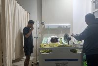FOTO/IST: korban yang dibakar oleh pacarnya saat mendapat perawatan di RSUD dr. Murjani Sampit.