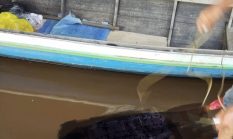 Warga Kaget Temukan Mayat Wanita Mengapung di Sungai Kotim