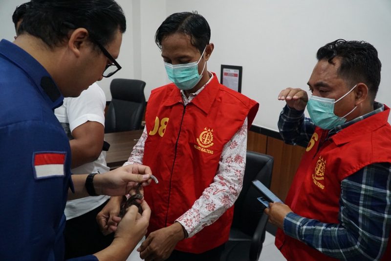 DITAHAN : Kejaksaan Tinggi Kalimantan Tengah menetapkan lima komisioner KPU Kotim sebagai tersangka dana hibah pilkada, Kamis (6/8/2026).